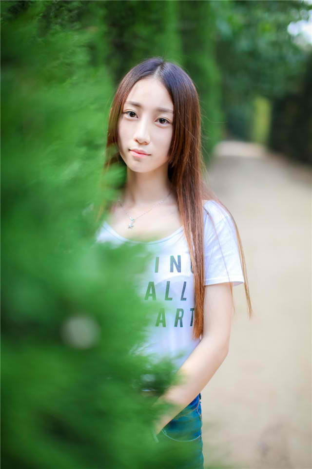 刺猬玫瑰(高干)